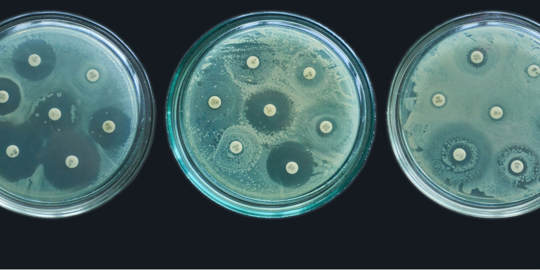 Antimicrobial Stewardship Journal of Ethics American Medical Association