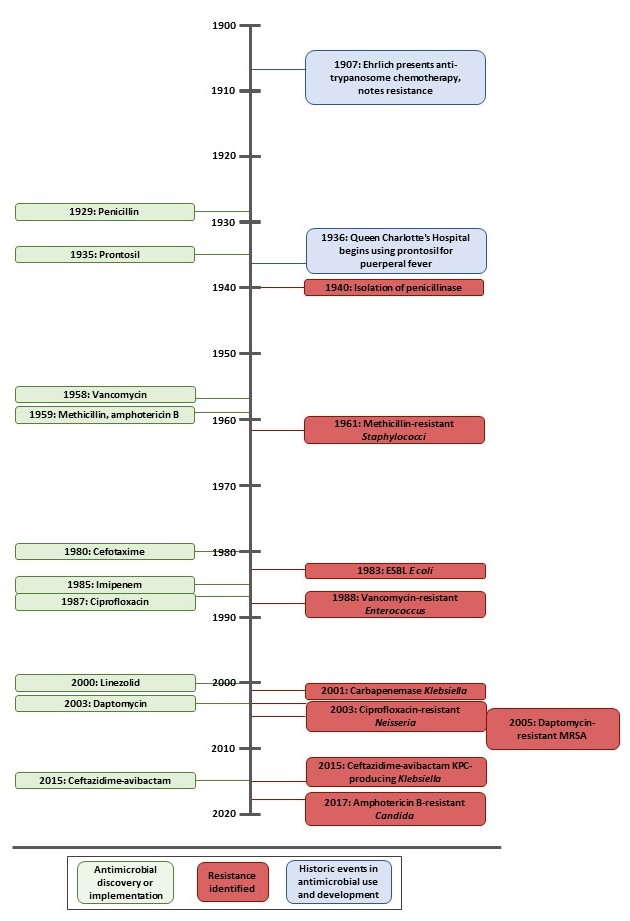 figure1-mhst1-2405