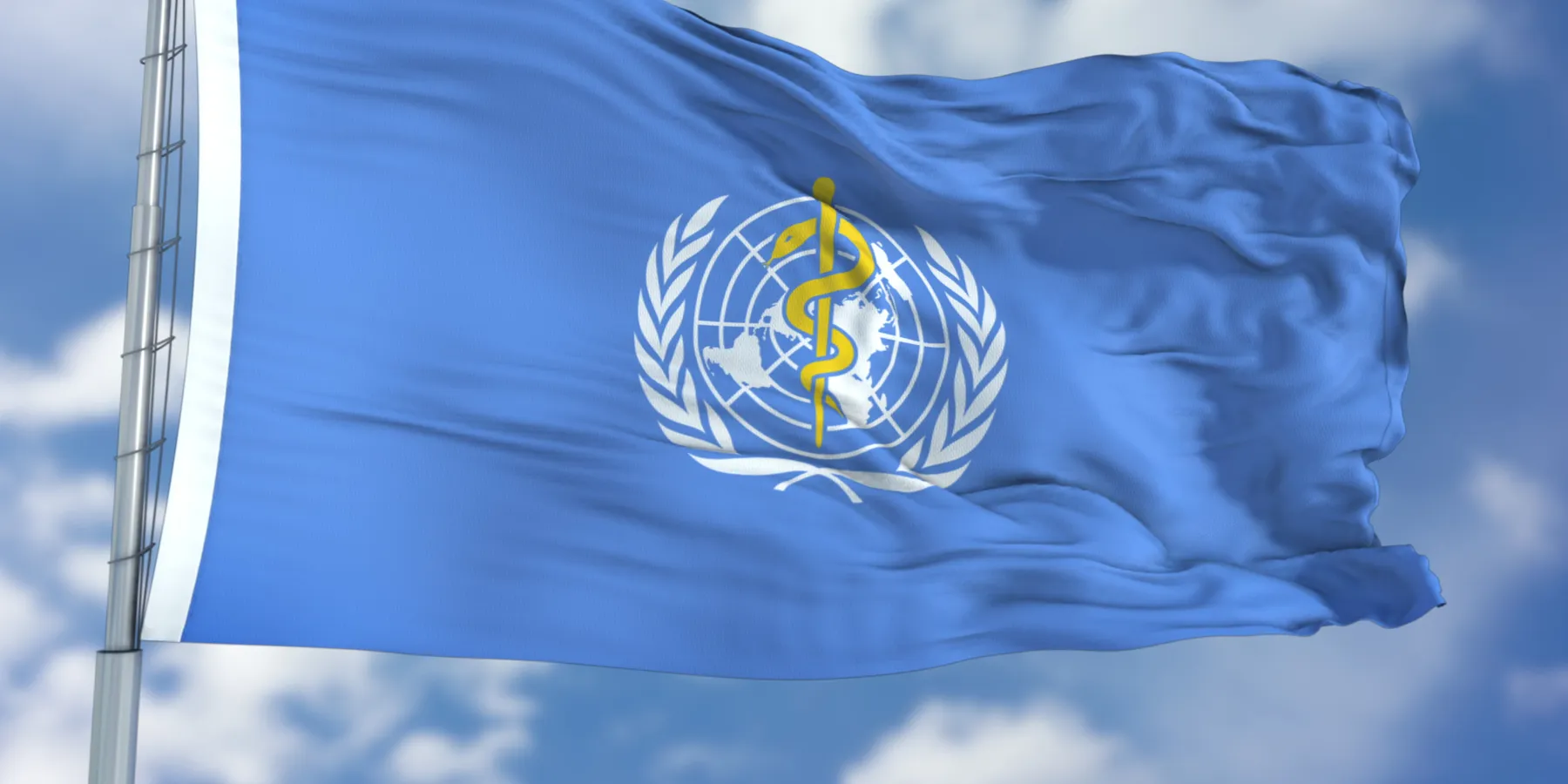 World Health Organization