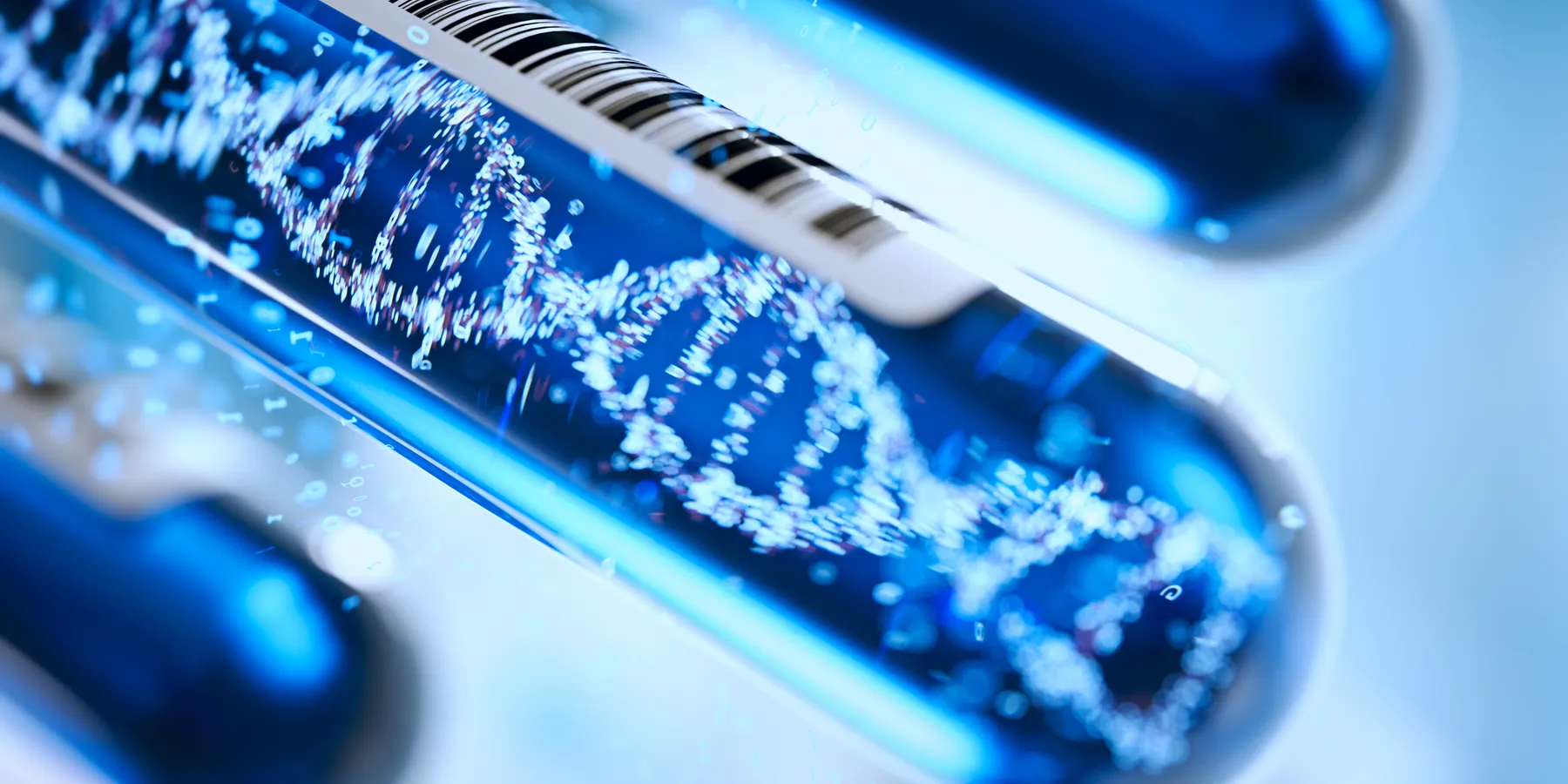 genetic info