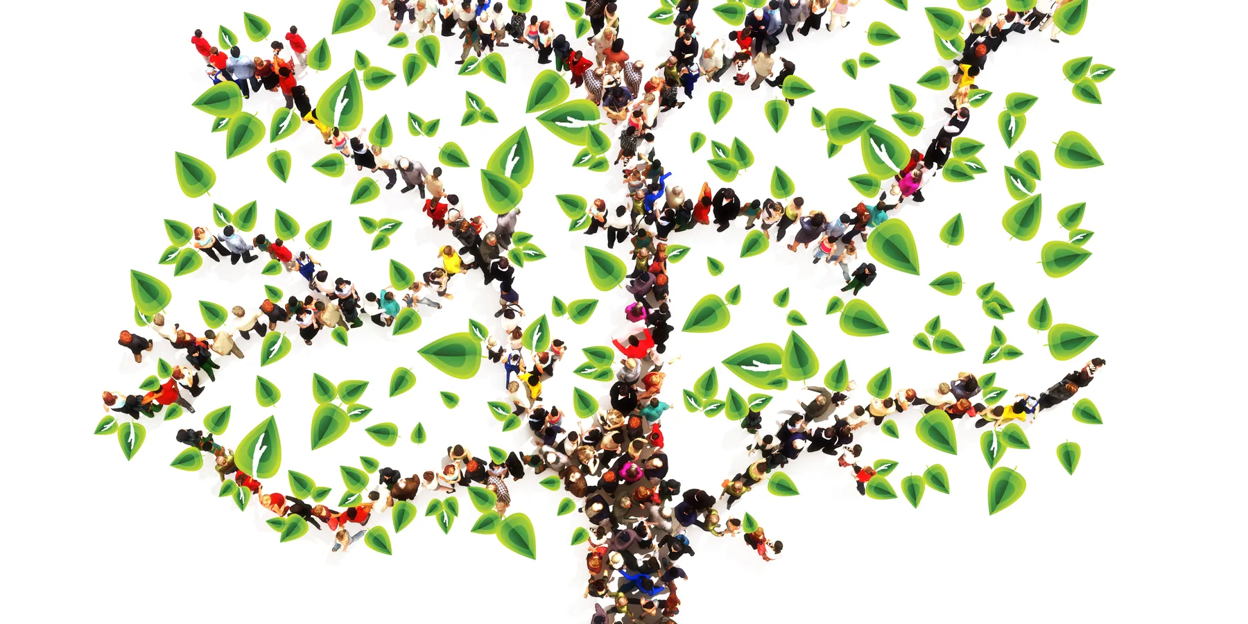ancestry