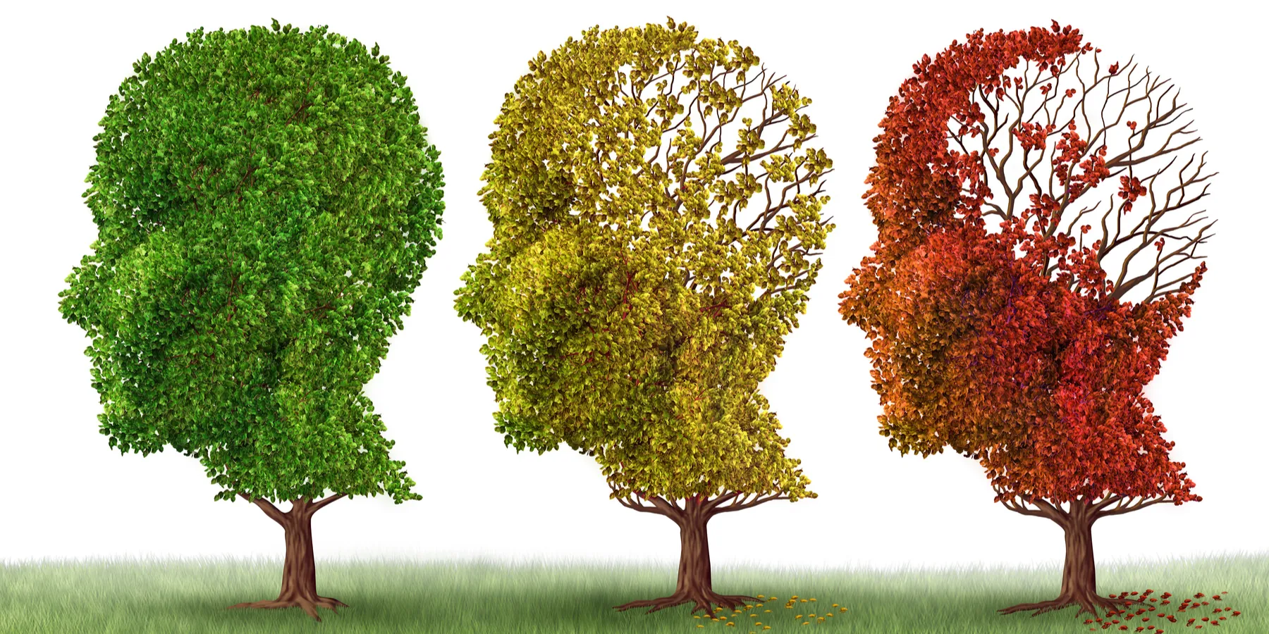 dementiaqol
