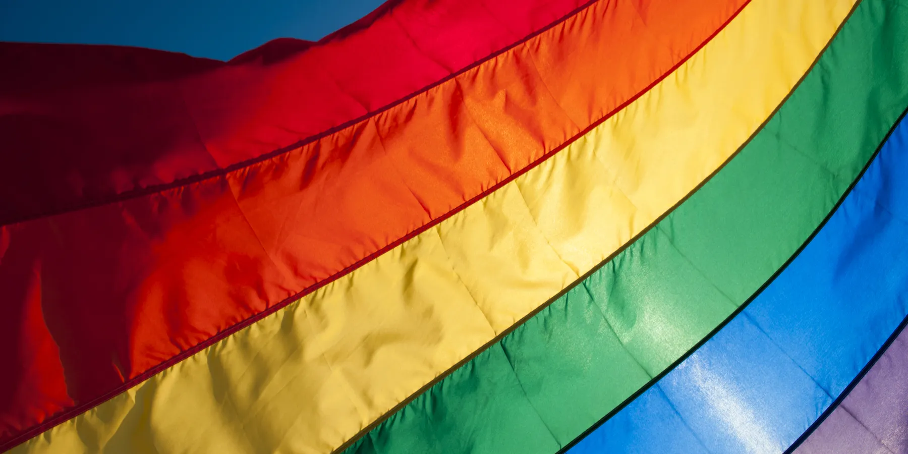 lgbtqi