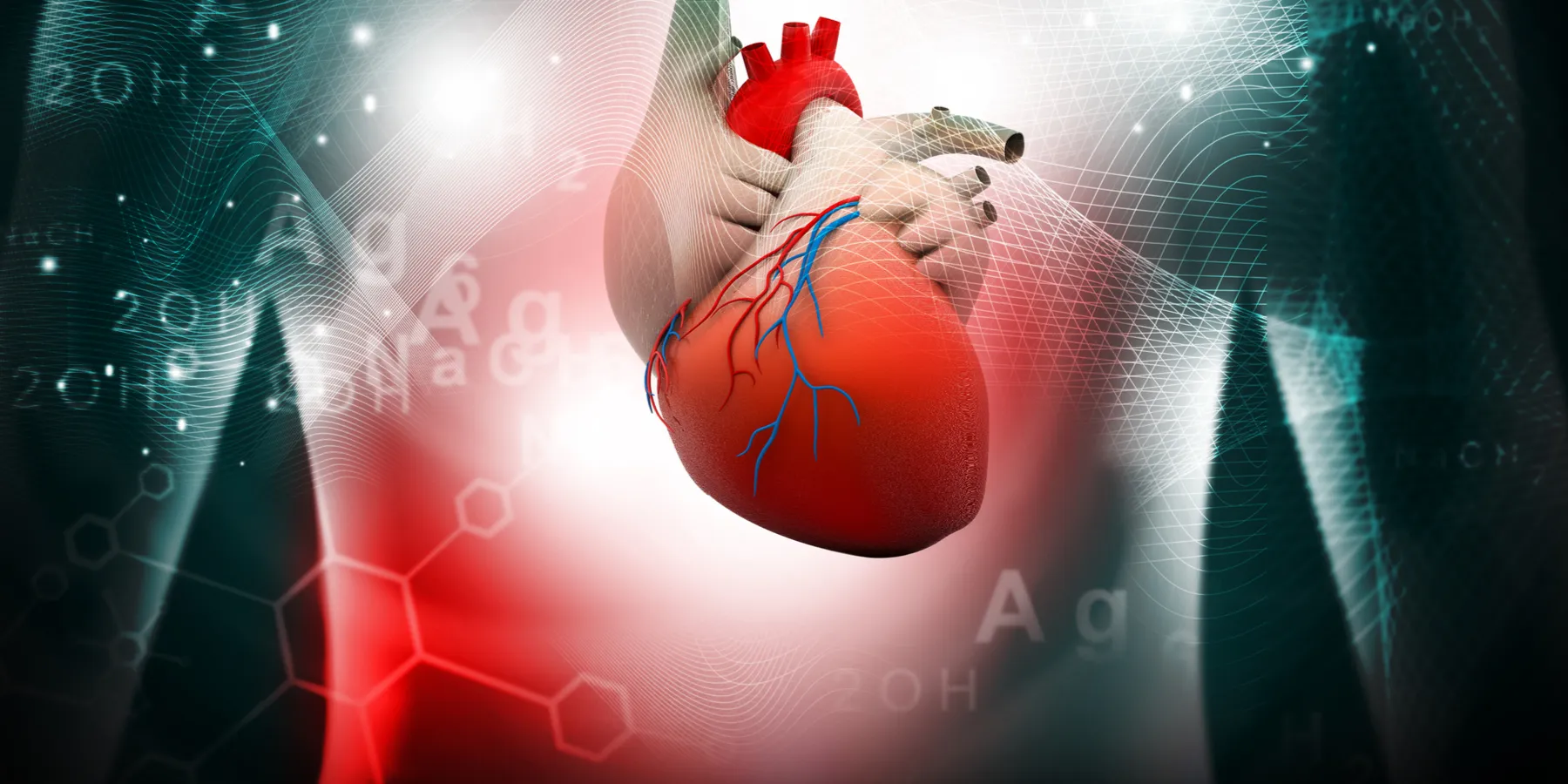 cardiovascular disease