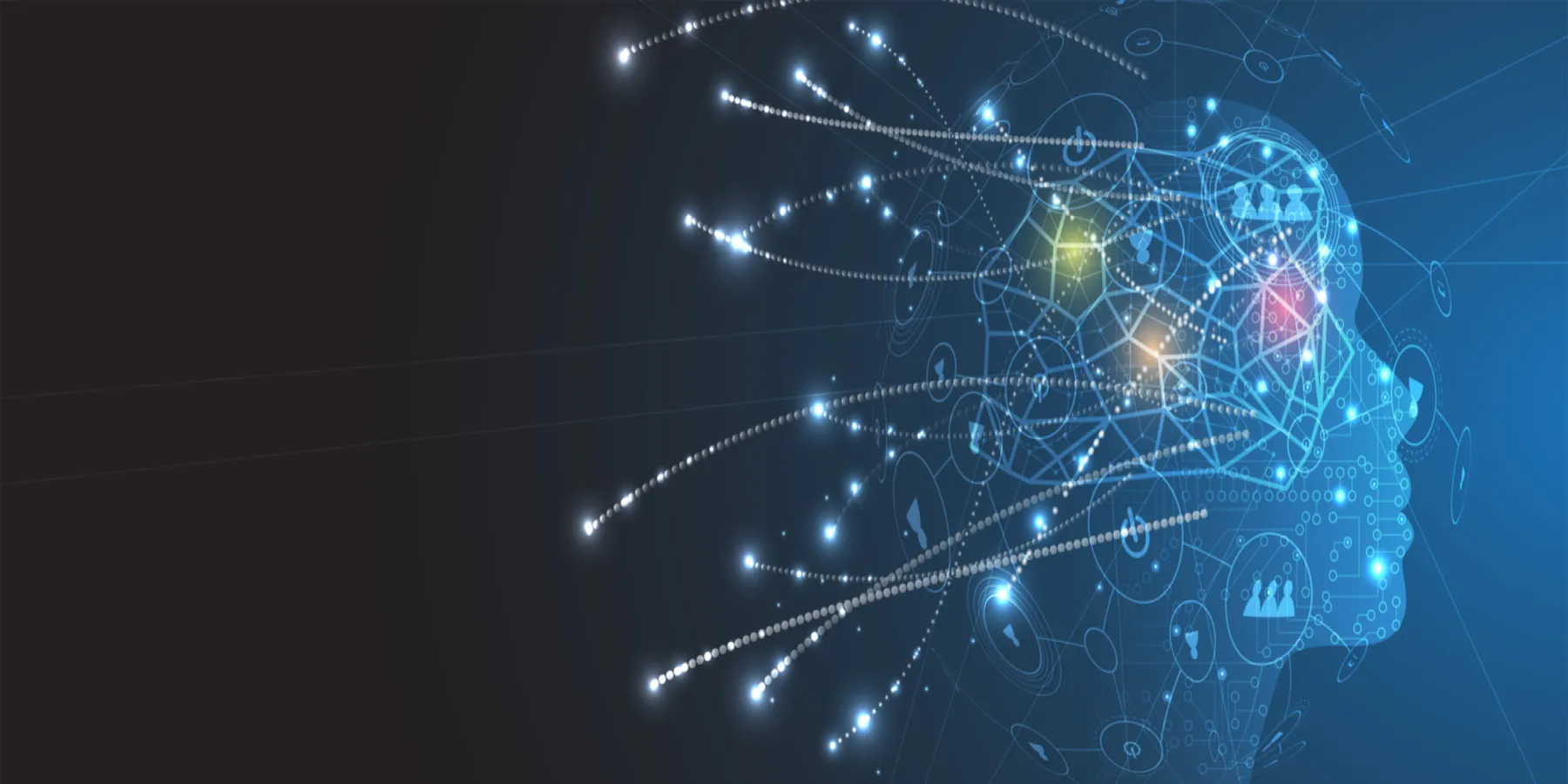 neuropsychology