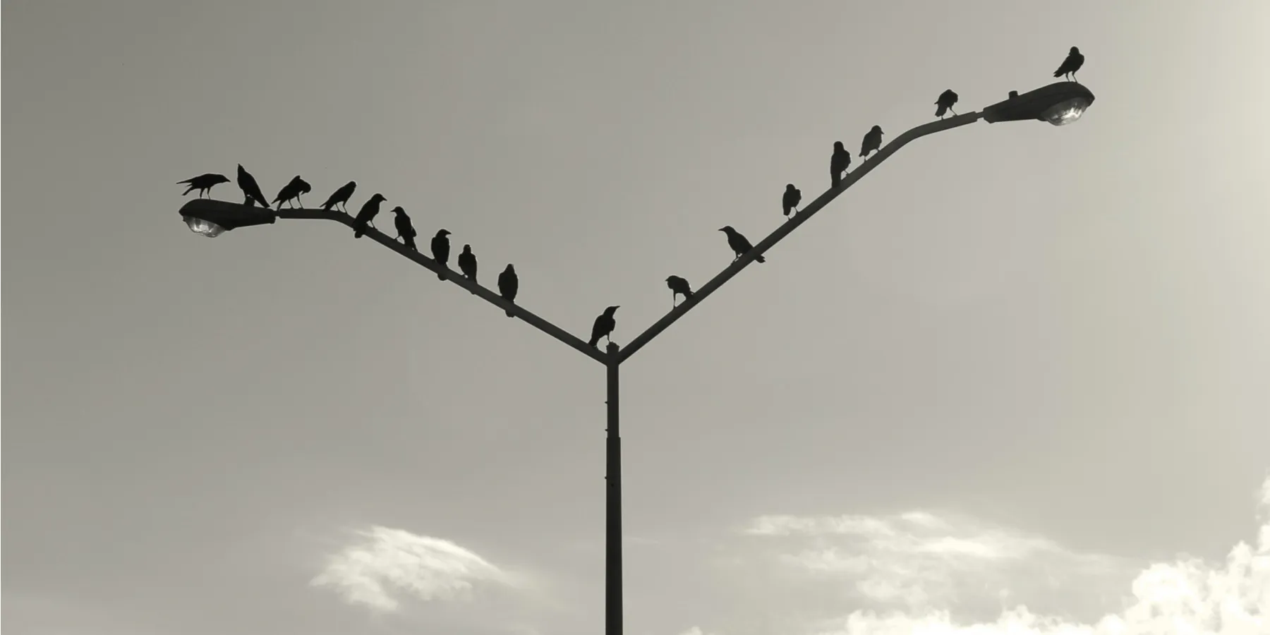 shared view