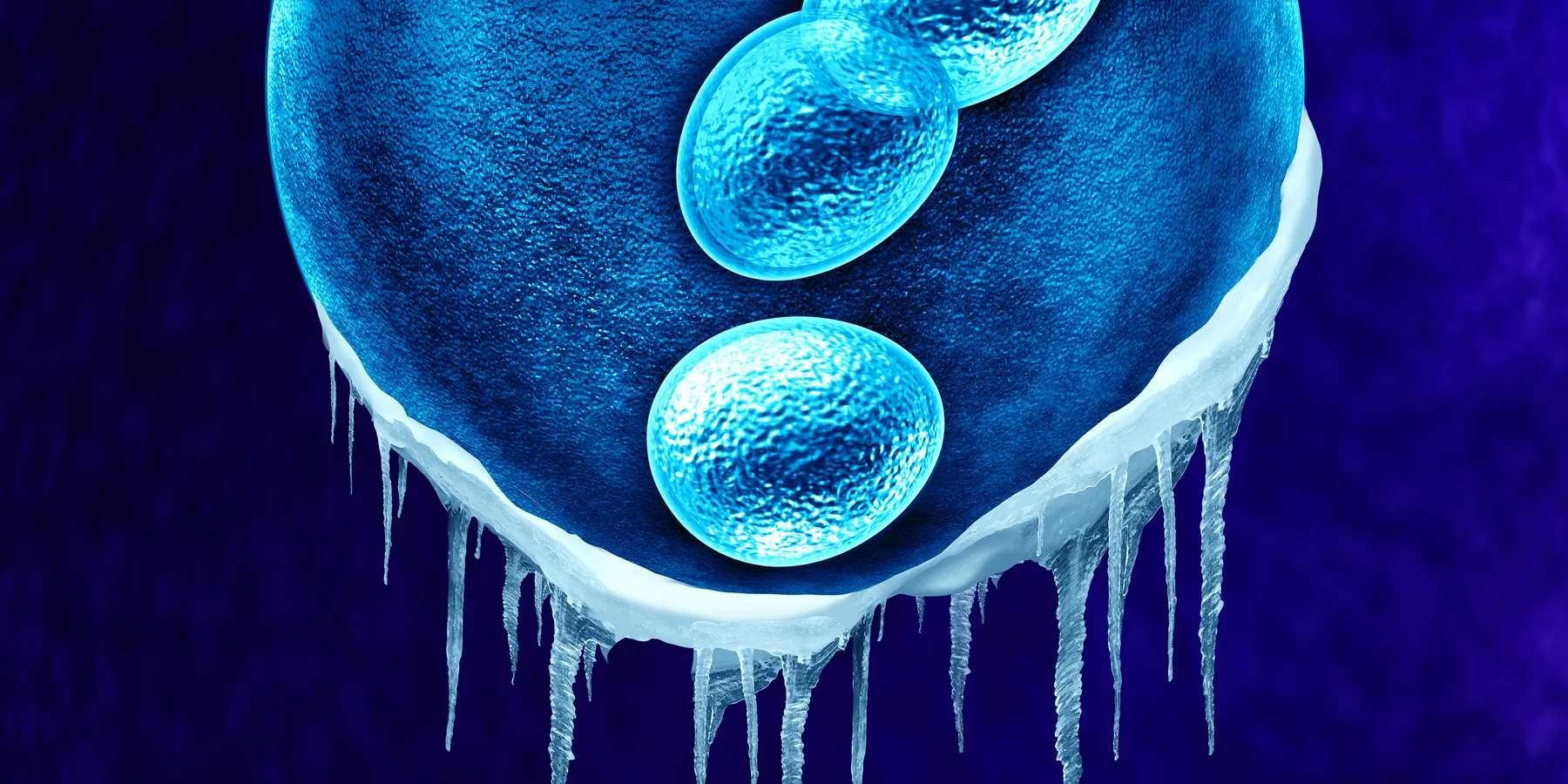 frozen embryo