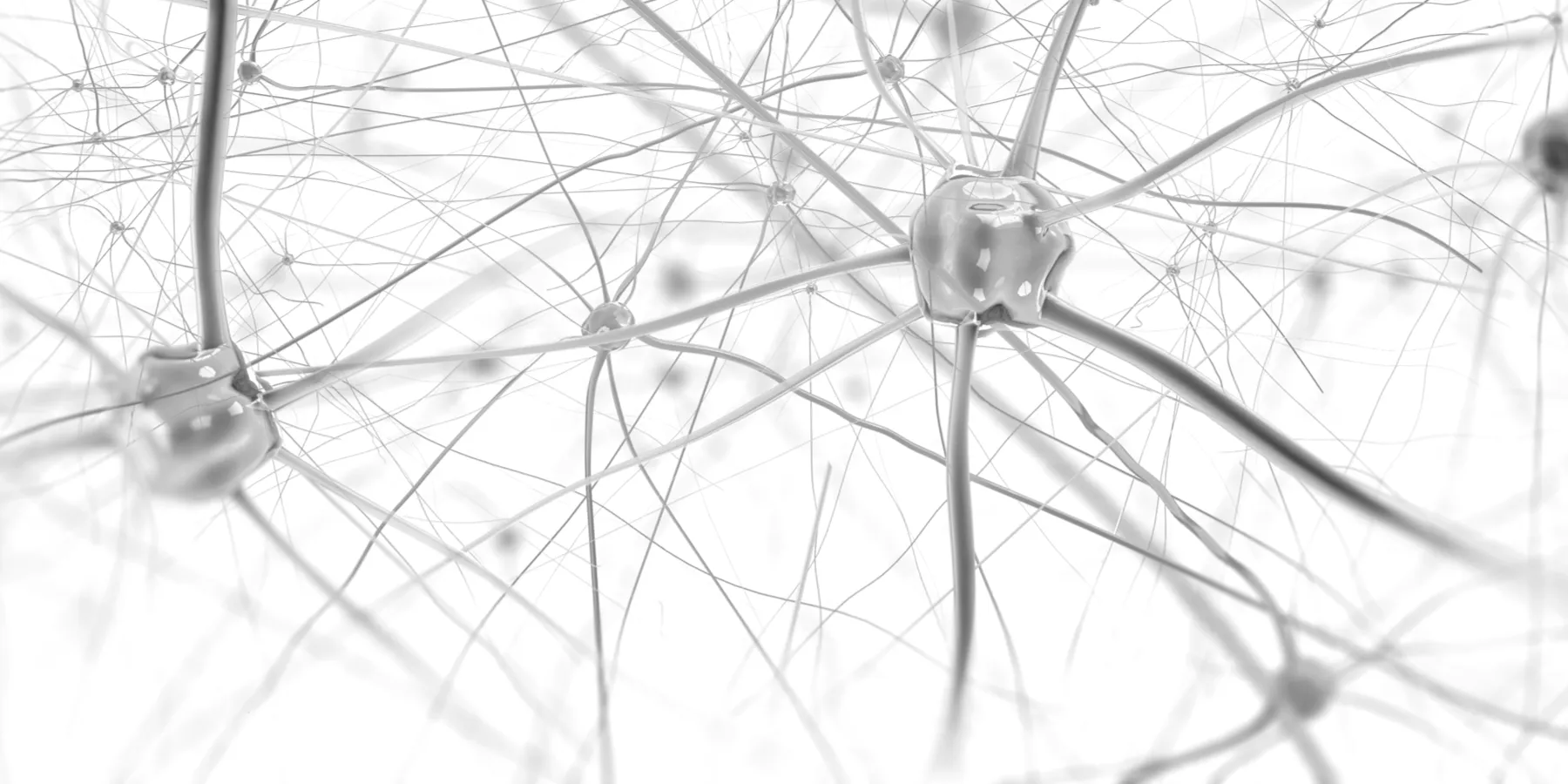 neurons