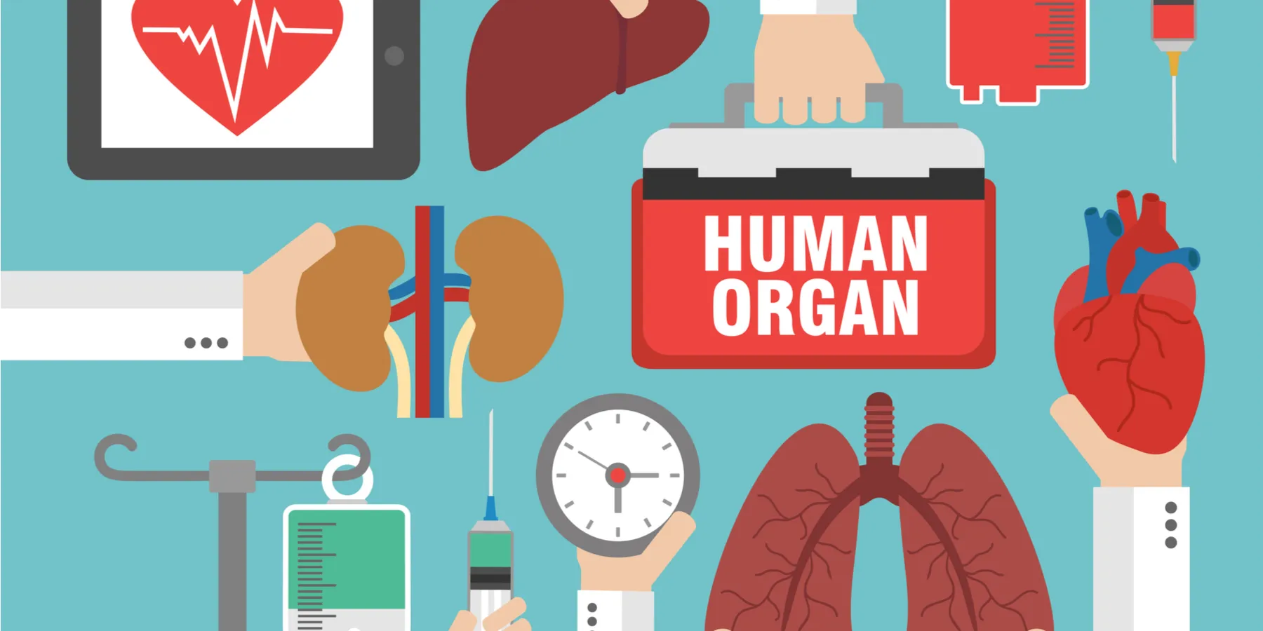 organ transplantation