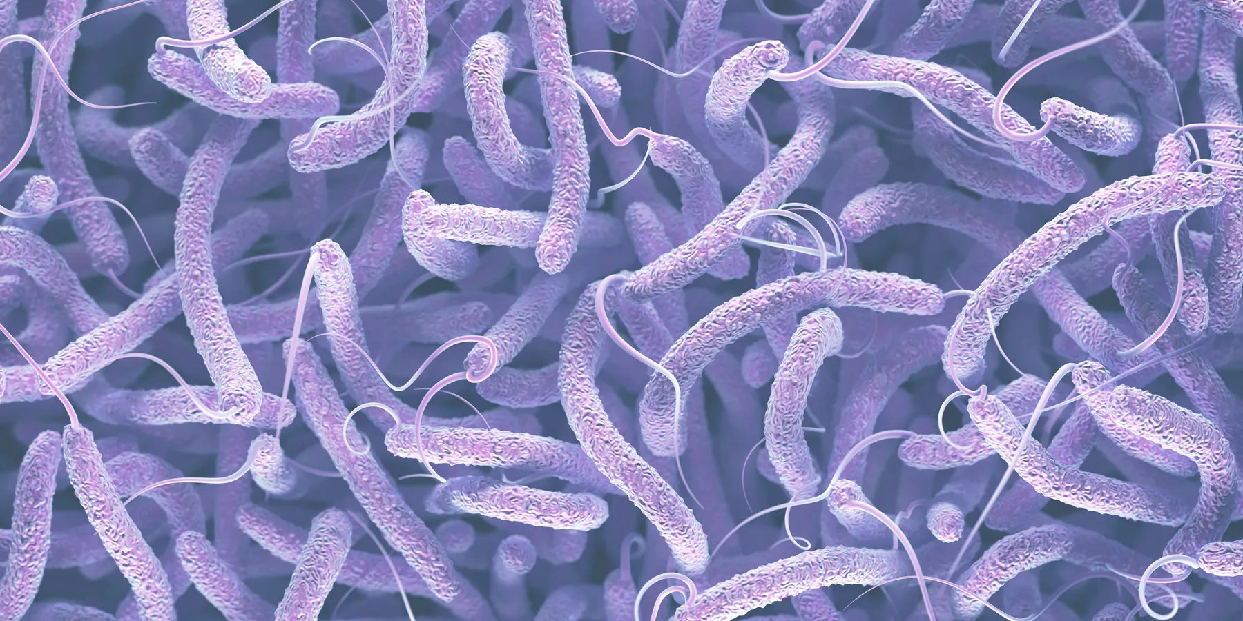 cholera