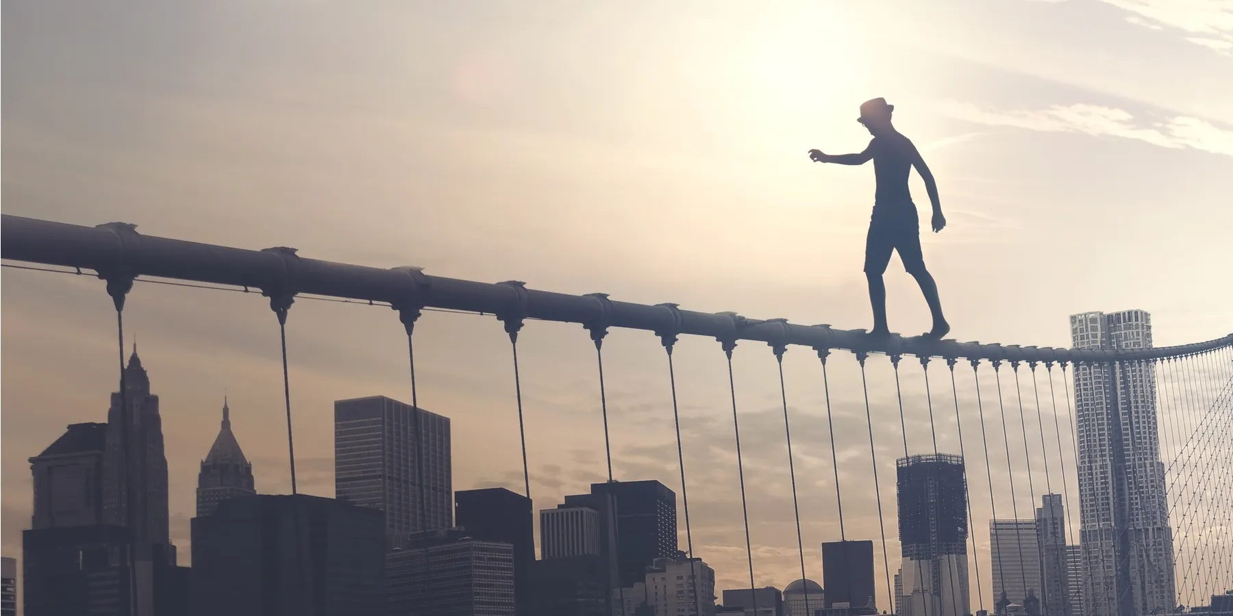 promise and pitfalls
