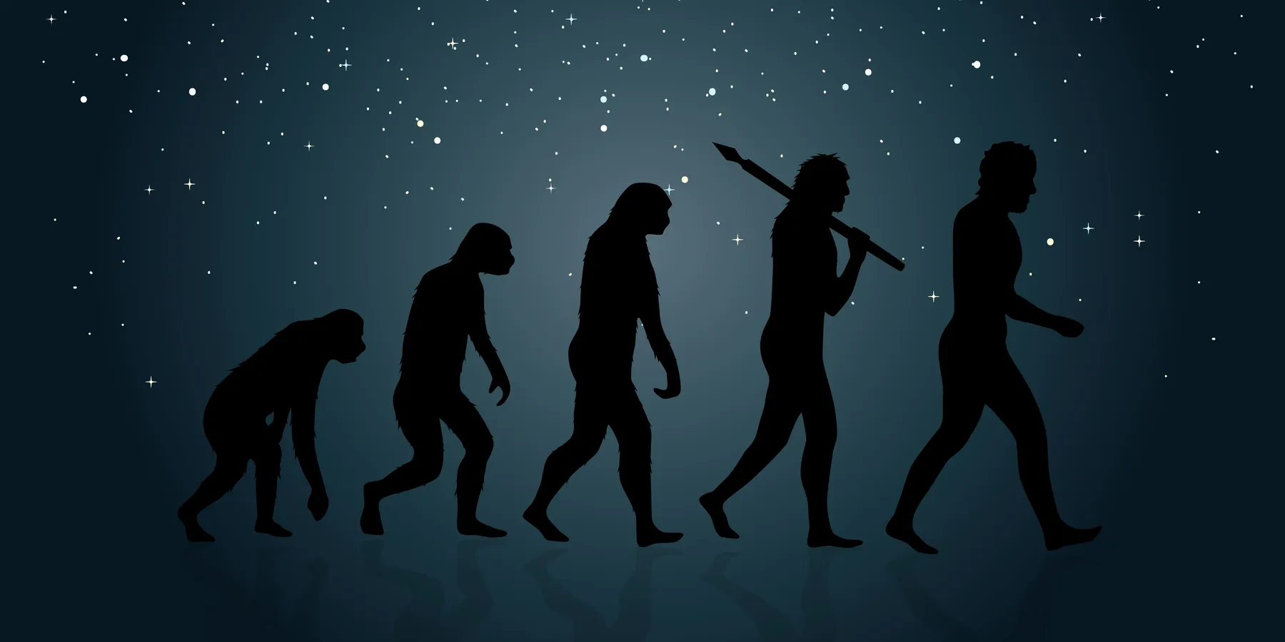 evolution