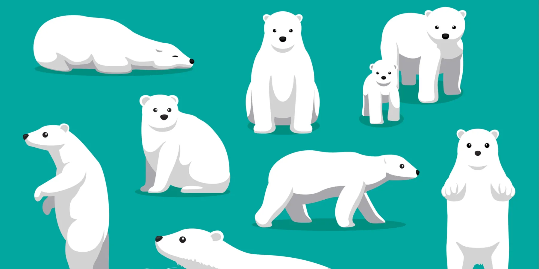 polarities