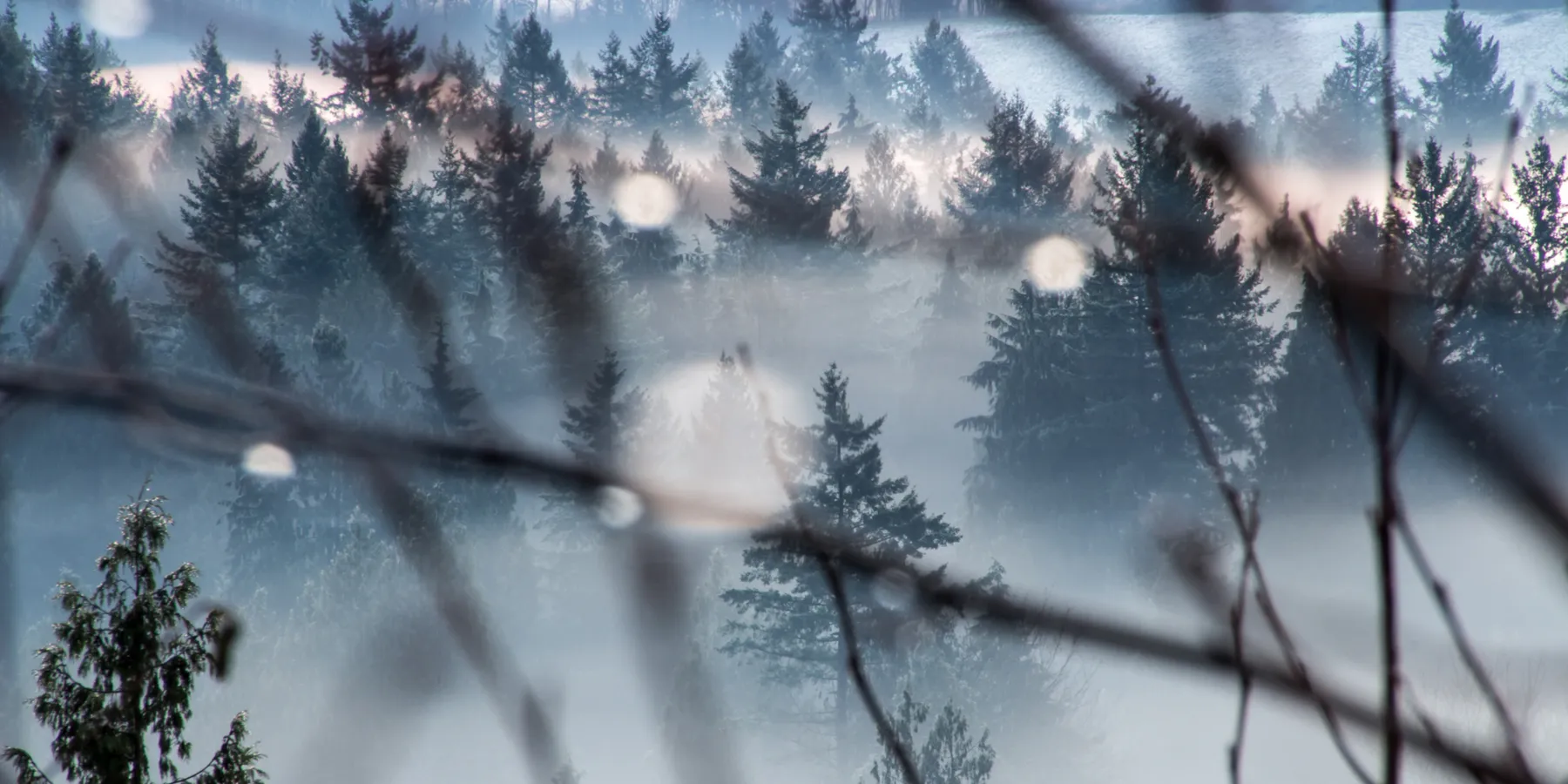 fog of evidence