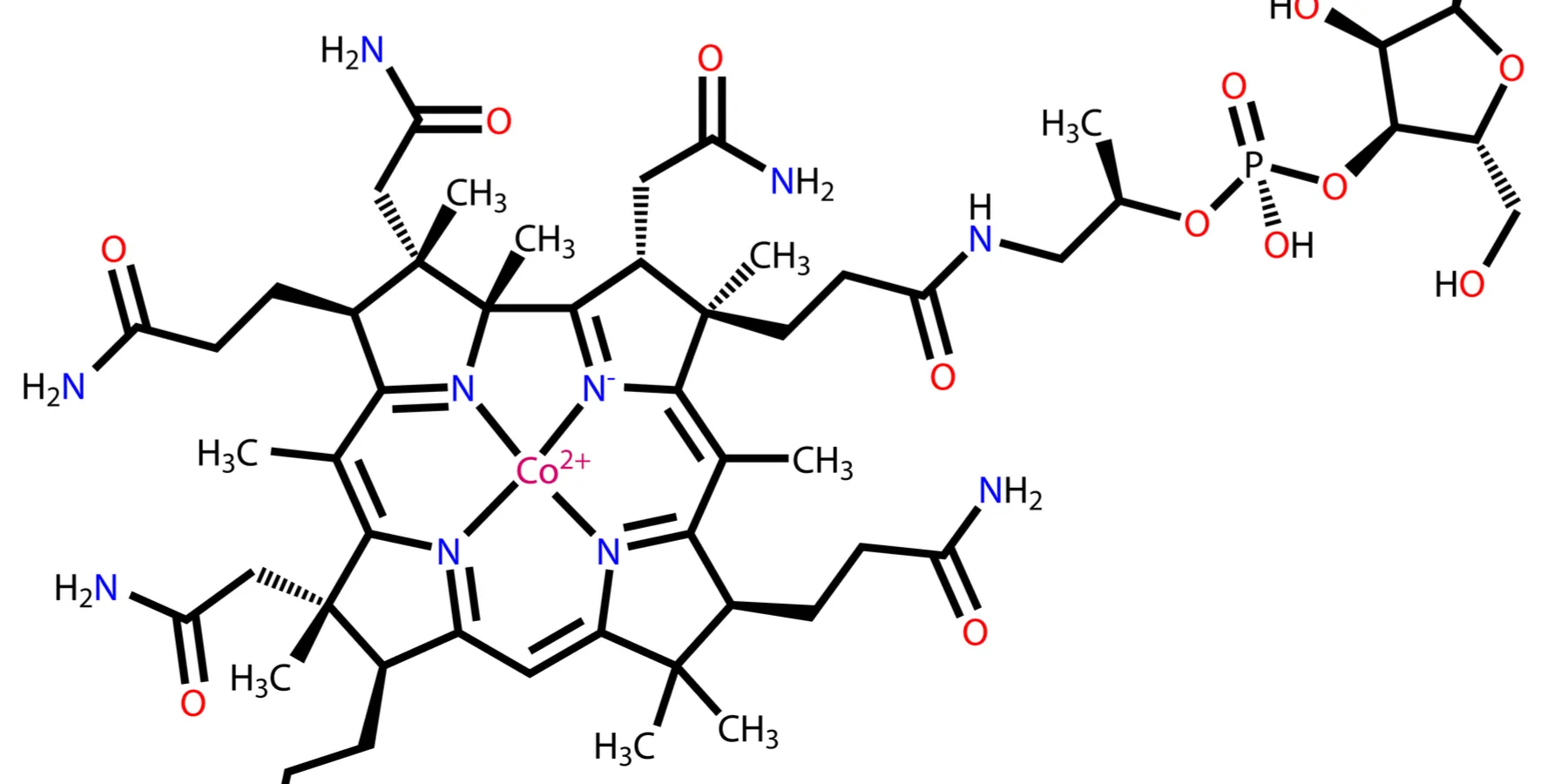 vitamin B12