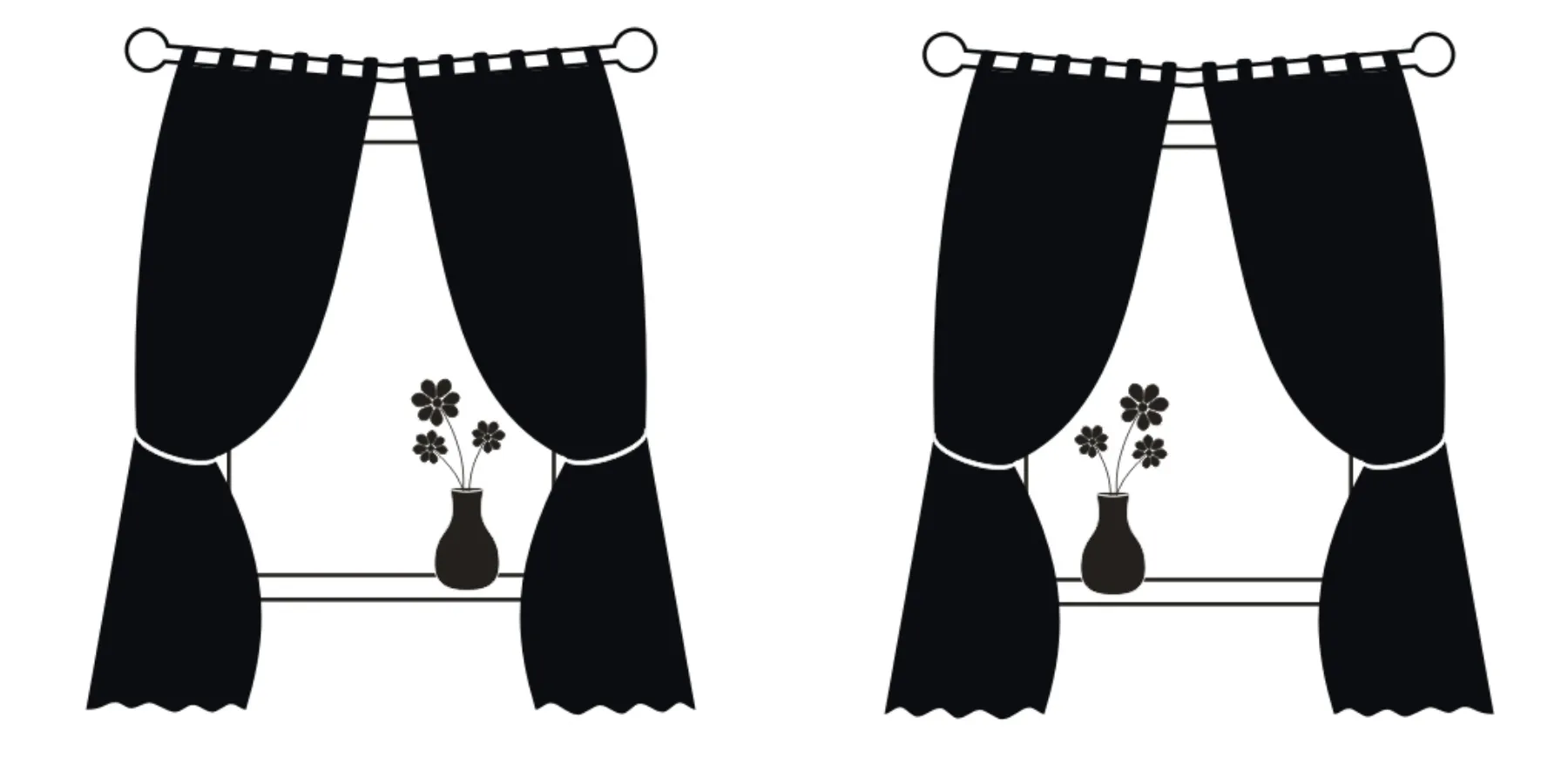 flowers on window sill