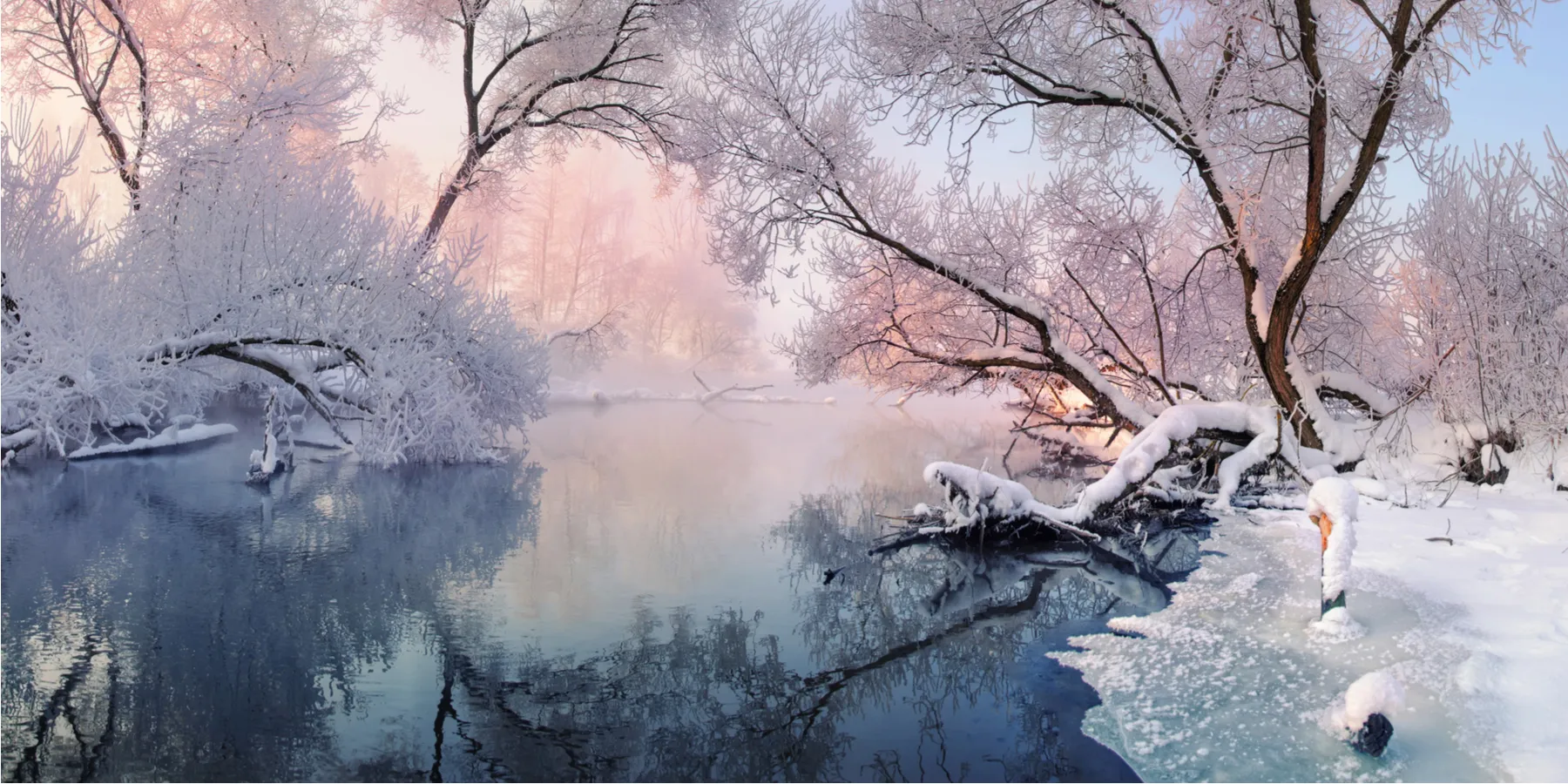 homepage4