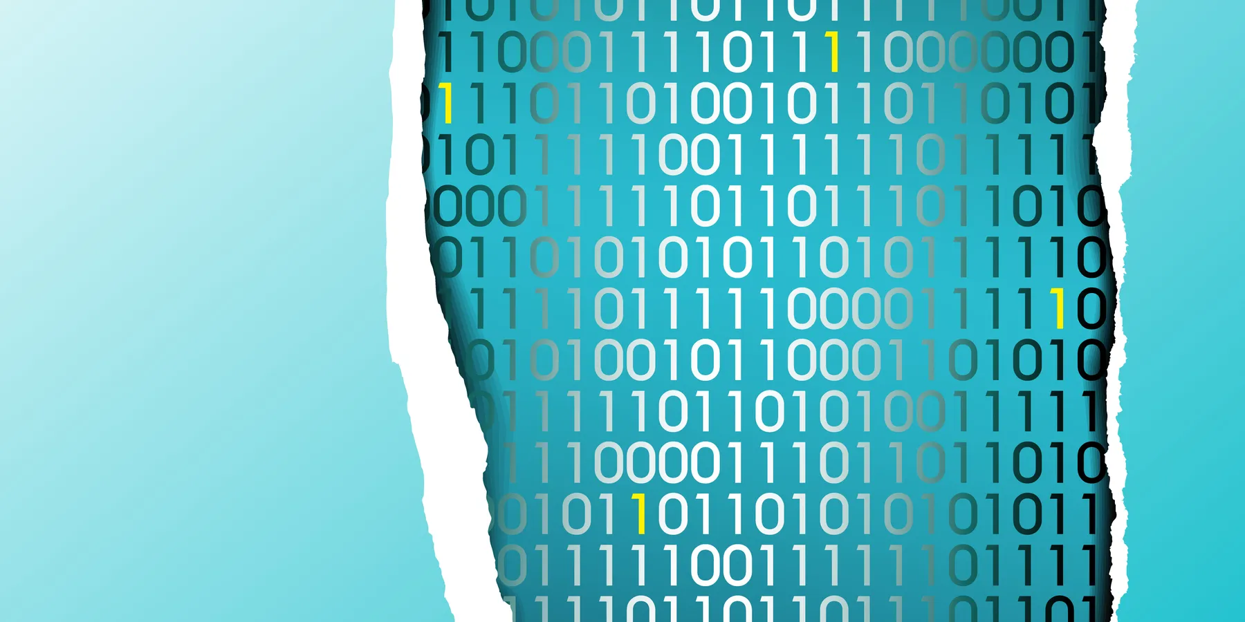 digital divide
