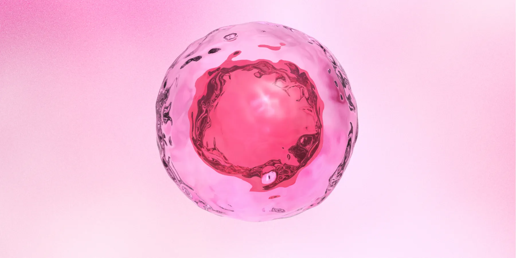 embryonic stem cell