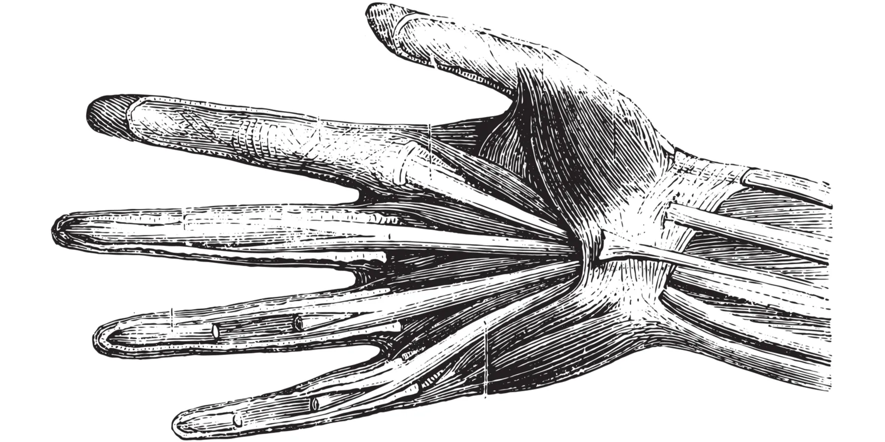 homepage3-1911