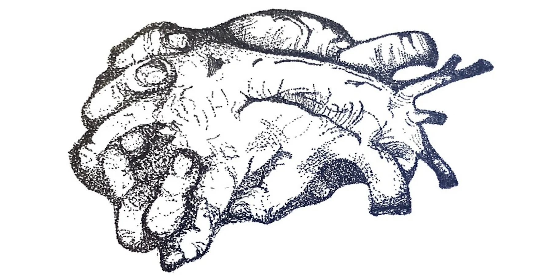artm1-2105