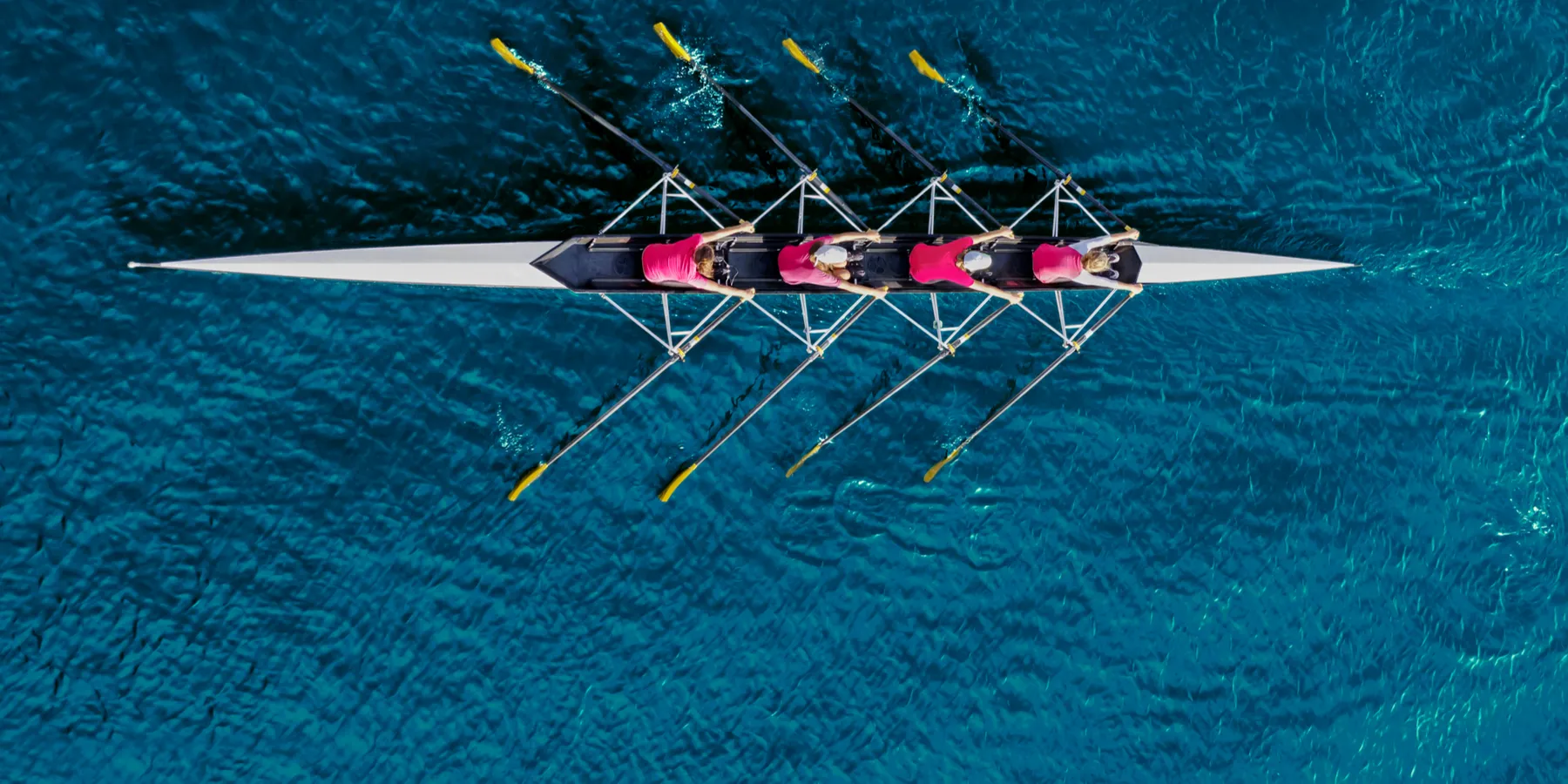 medu1-2209