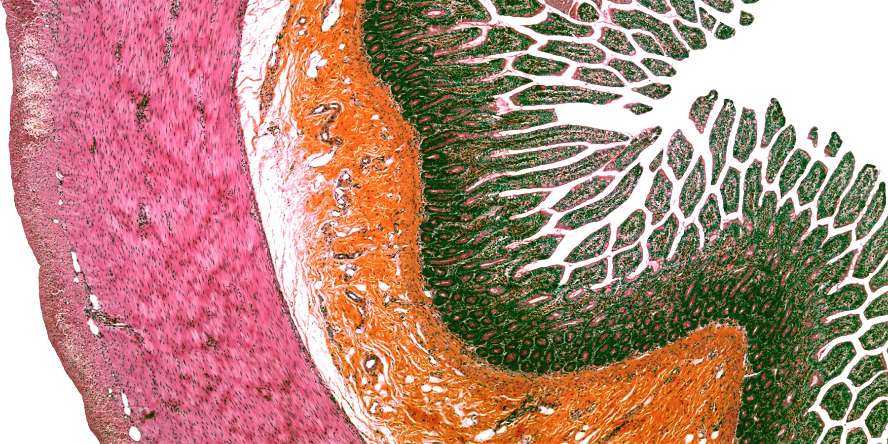 Artworks | Journal of Ethics | American Medical Association