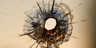 gunshot