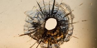 gunshot