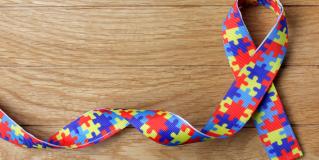 autism spectrum