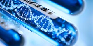 genetic info
