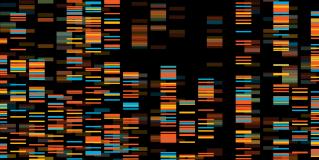 family genetic testing