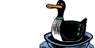 duck soup