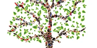 ancestry