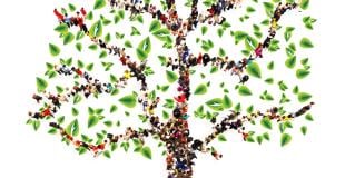 ancestry