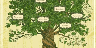 family history