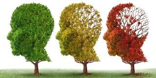 dementiaqol