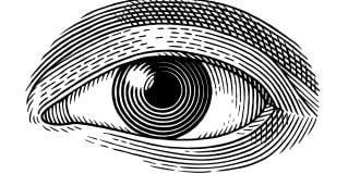 eye