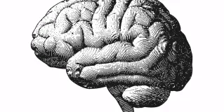 neurosurgery