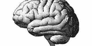 neurosurgery