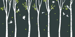 environment
