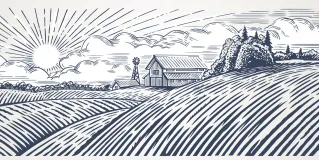rural medicine