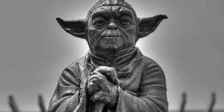 yoda