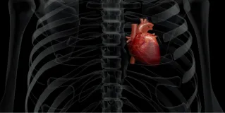 cardiovascular disparities