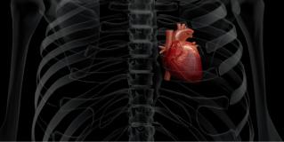 cardiovascular disparities