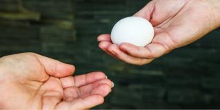 egg donation