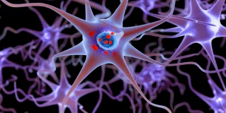 Parkinson's Disease