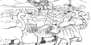 herding cats