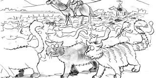 herding cats