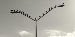 shared view